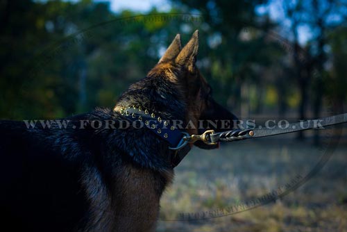 Decorated Dog Collar for German Shepherd 'Unveiled Luxury'